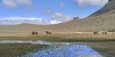 Cabalgatas en la Estepa - Imagen 2