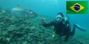 Mergulho