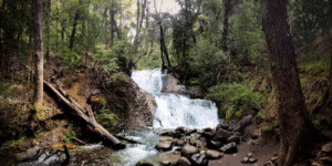 Parque de la Usina e Cascada Los Duendes — Passeio privativo